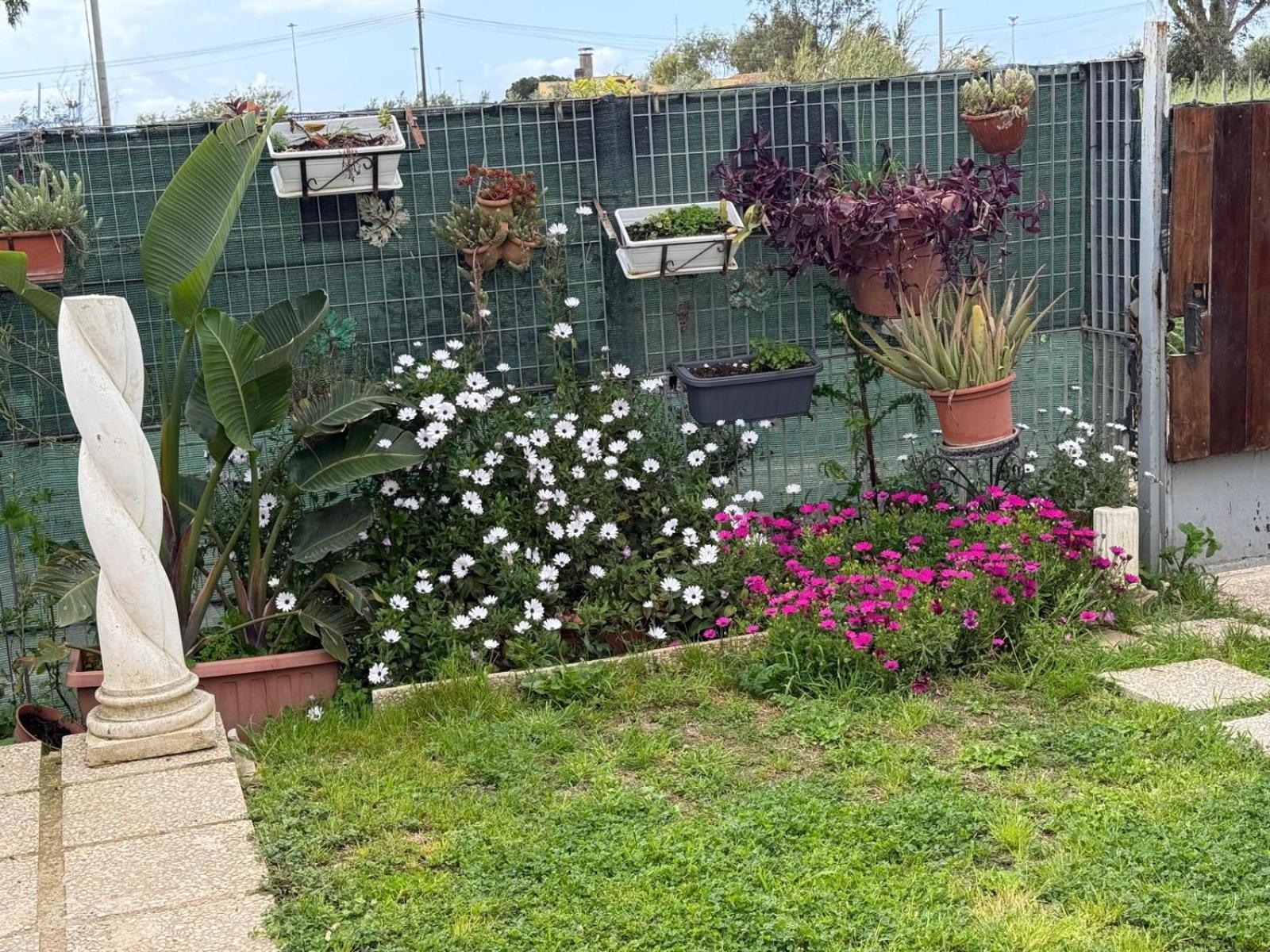 Flower House Civitavecchia Kültér fotó